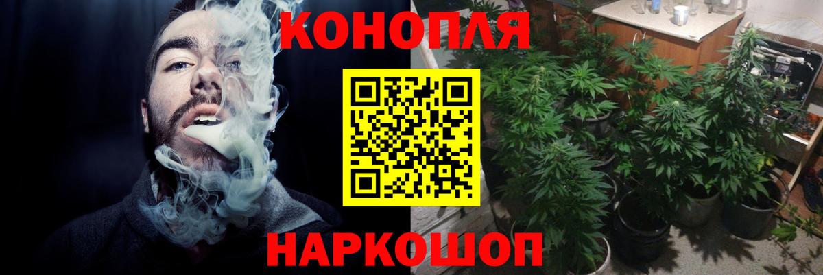 Канабис SATIVA & INDICA Новороссийск